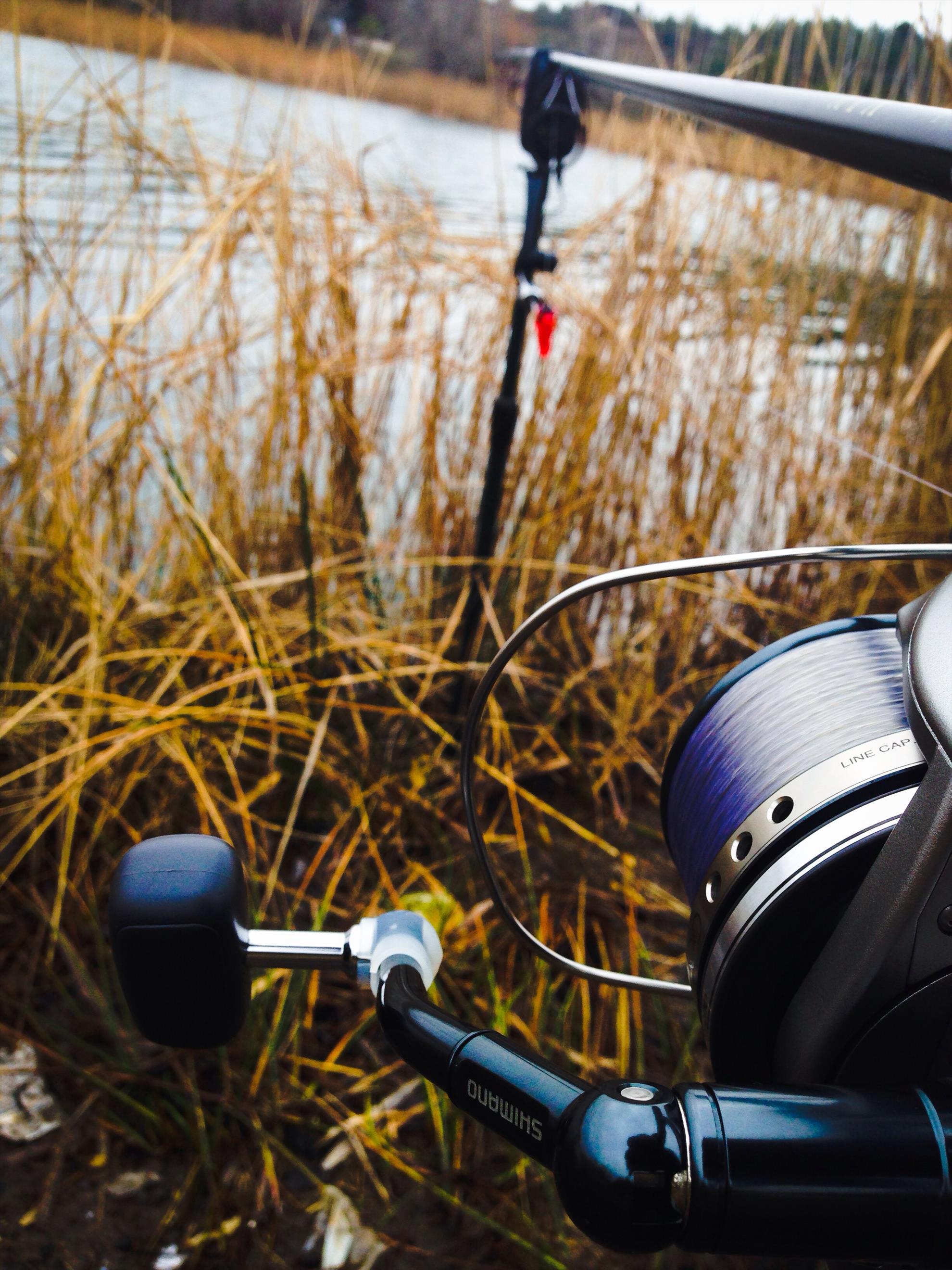 2013 - 3 - image11111111111.jpg